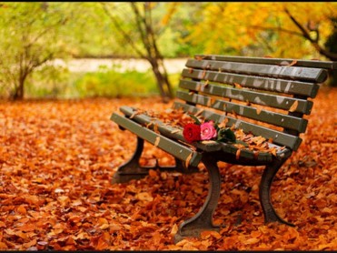 romantic-autumn-daydreaming-18932448-1024-768